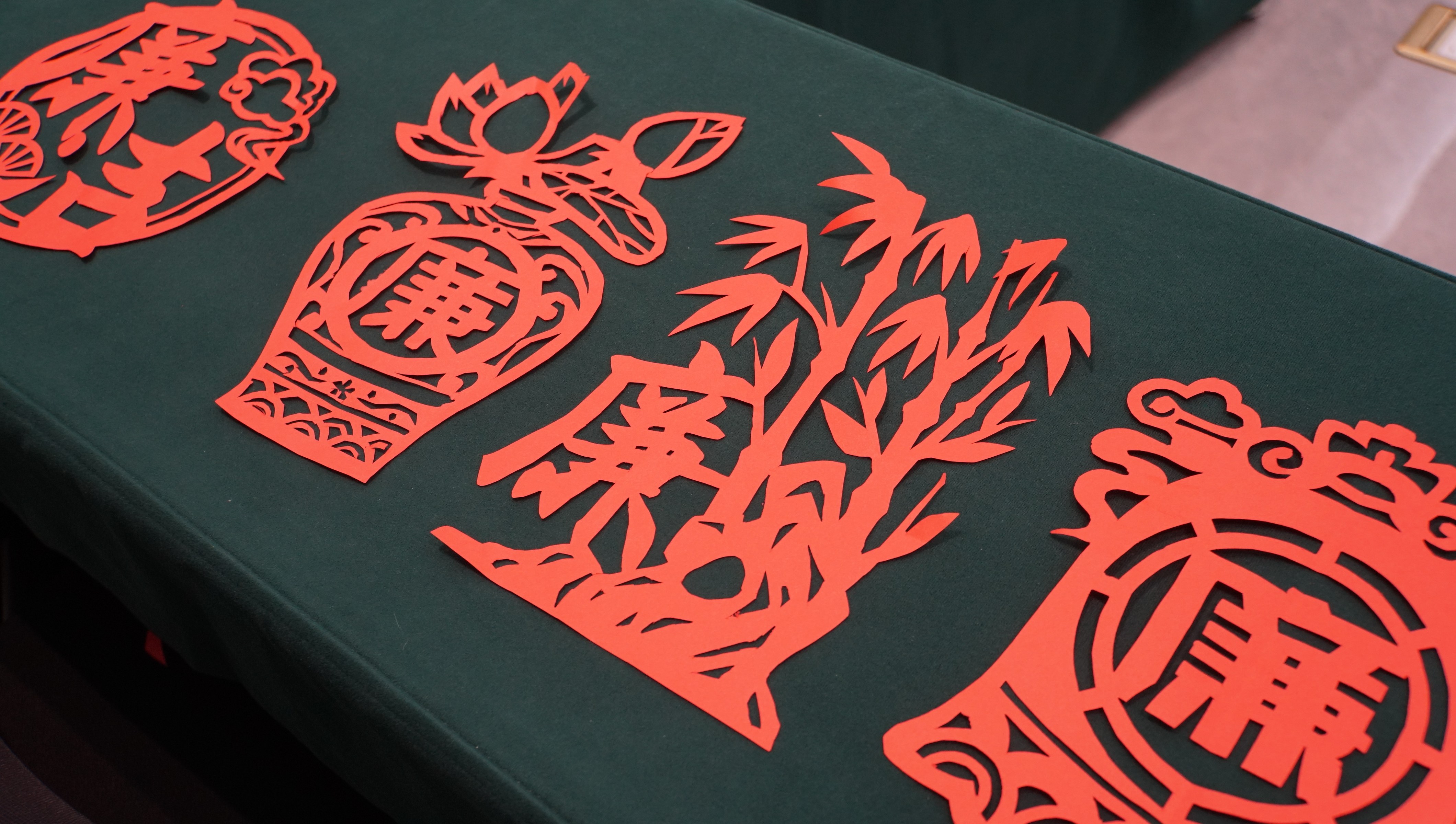 DSC02419.jpg DSC02419.jpg